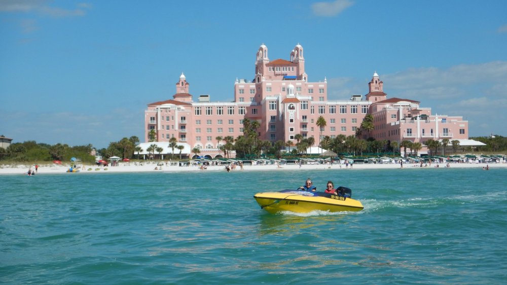 Tampa Speed Boat Adventure